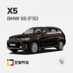 X5 F15 (2014-2019)