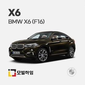 X6 F16 (2014.11-2019)