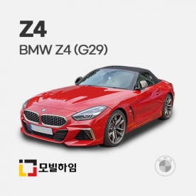 Z4 G29 (2019.5-)