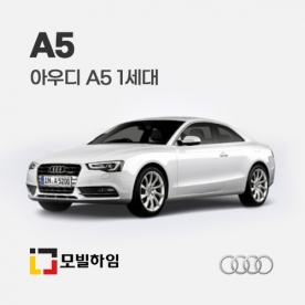 A5 1세대 (2009-2016)