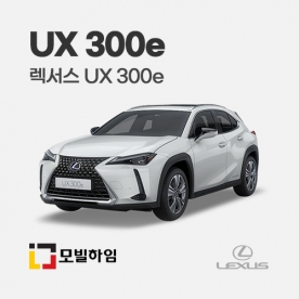 UX 300e (2020-)