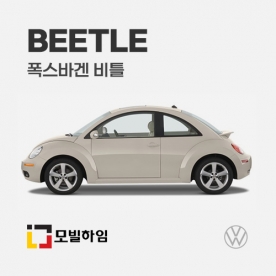 비틀 (2008-2011)