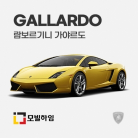 가야르도 (2012-2014)