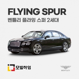 플라잉 스퍼 2세대 (2013-2019)