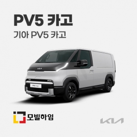 PV5 2인승 카고 (2025.8-)