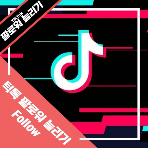 틱톡[TikTok] 한국인 팔로워 늘리기