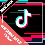 틱톡[TikTok] 한국인 팔로워 늘리기