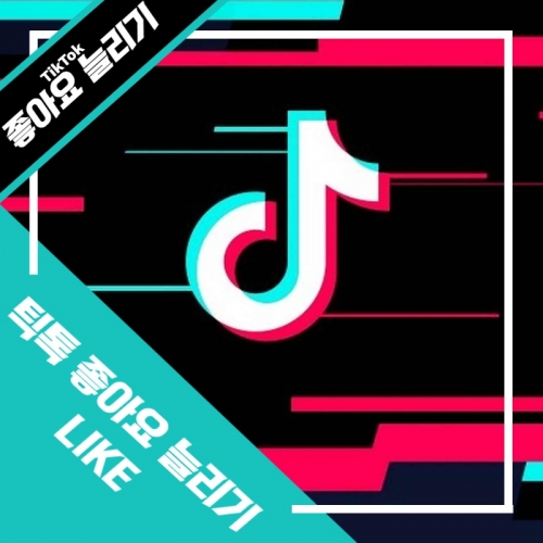 틱톡[TikTok] 좋아요 늘리기