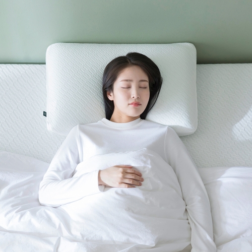그린티 메모리폼 필로우