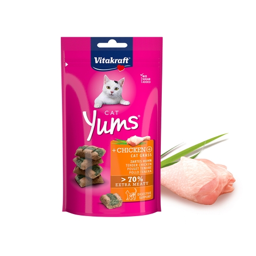 비타크래프트 캣얌 40g (치킨과 캣그라스)