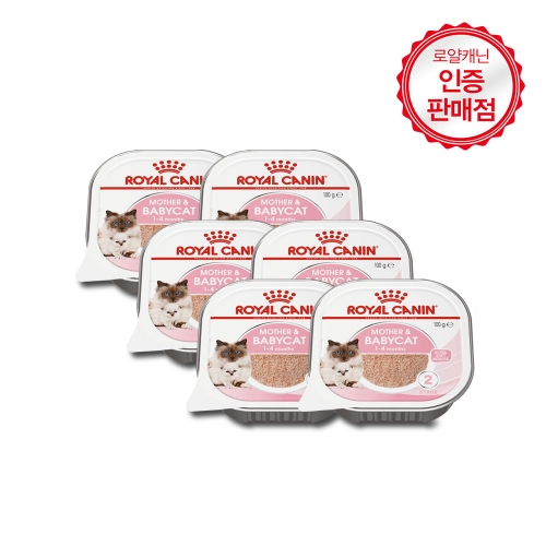 로얄캐닌 마더 앤 베이비캣 소프트 무스 캔 100g - 6개