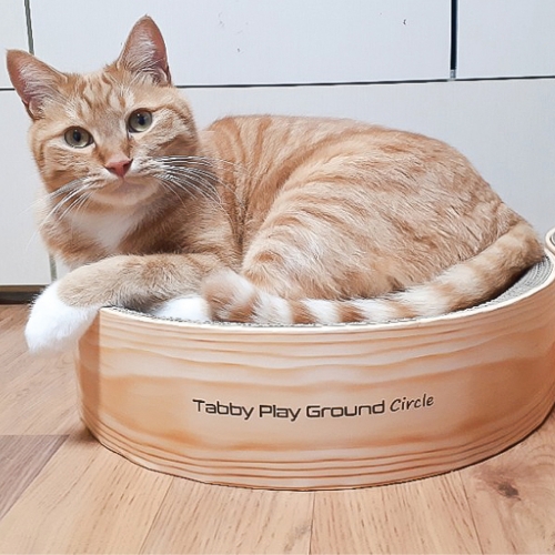 Tabby 테비토퍼 써클 보울 스크래쳐