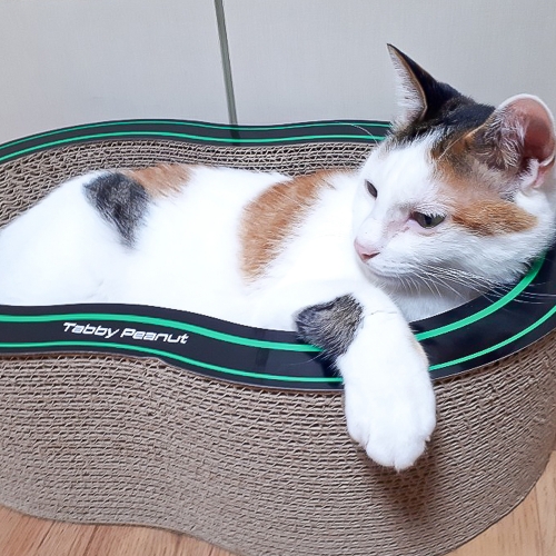 Tabby 테비토퍼 땅콩 스크래쳐