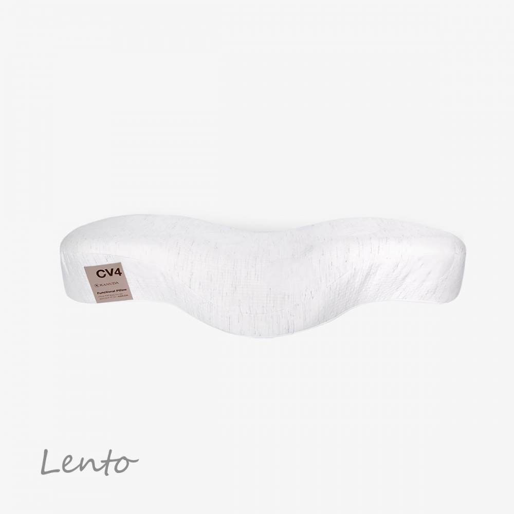 골드라벨 렌토 단품