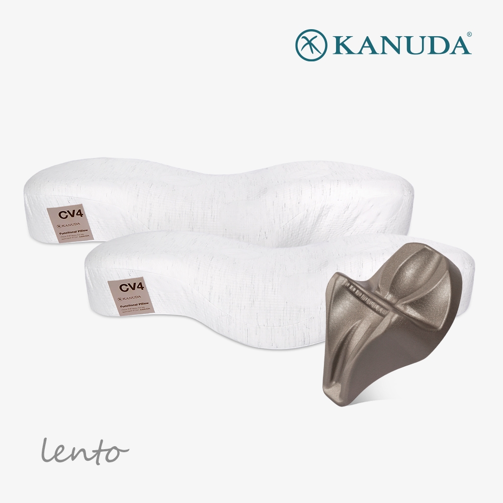 골드라벨 렌토 더블세트(베개2+머리냅)