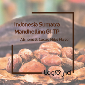 인도네시아 수마트라 만델링 G1 TP
