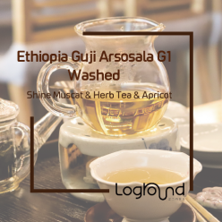 이달의 커피 23년 2월 에티오피아 구지 아르소살라 G1 워시드