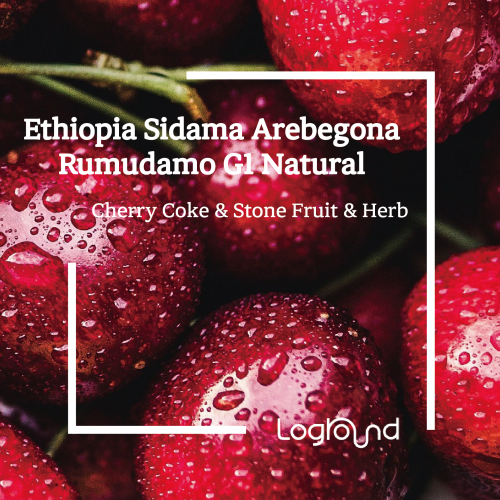 이달의 커피 24년 4월 에티오피아 시다마 아르베고나 루무다모 G1 네추럴