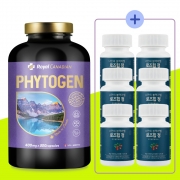 캐나다 로얄캐네디언 리그난 파이토젠 PHYTOGEN 400mg 300캡슐