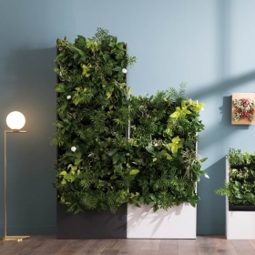 맑음그린월 수직정원 플랜트월 - 자동관수 공기정화 바이오울 식물 구독 가드닝 프로그램 관공서 식당 학교 학원 플랜테리어