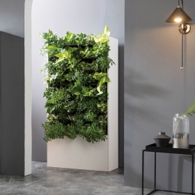 맑음그린월 수직정원 렌탈 - 플랜트월 공기정화 식물 구독 가드닝 프로그램 무료 설치 36개월 의무 렌탈