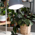 파인라이트 슈퍼팜 플러스 식물성장 LED램프 - 화분조명 상추키우기 식물등 초경량 전구