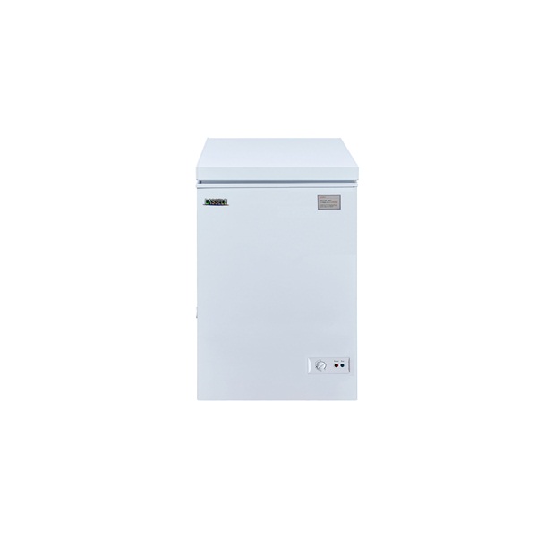 라셀르 냉동고 윗덮개 방식 냉동고 (BD-100)
