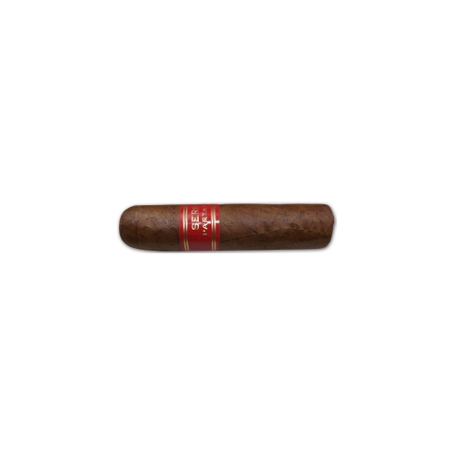 파르타가스 Serie D No.6