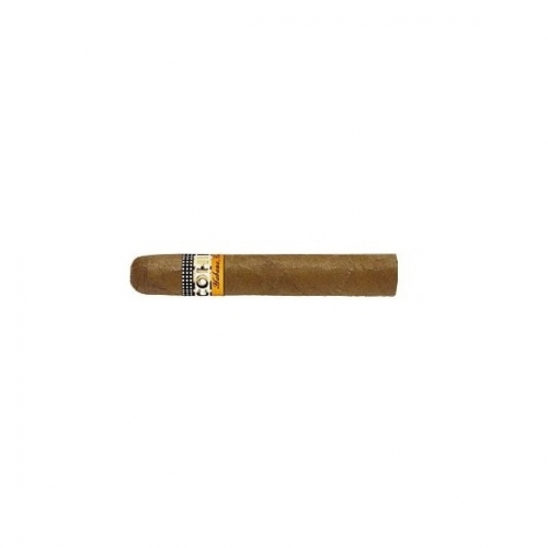 Cohiba 시글로 1