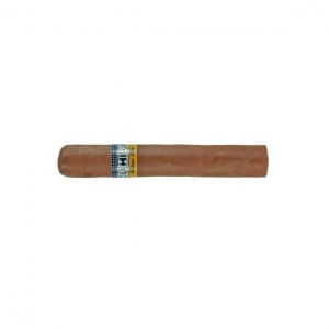 Cohiba 로부스토