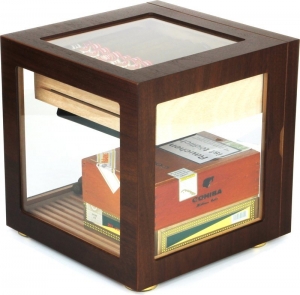 Adorini Cube 휴미더 Brown