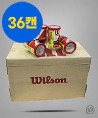 윌슨 테니스공 챔피온쉽  시합구 36캔 1박스 (72구)