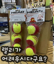 헤드 주니어 테니스공 스타터 3B HEAD TIP RED 레드볼 (1팩 3개입) 578113