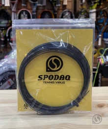 바볼랏 RPM TEAM 125  12m 단품 / 알카라즈 사용 스트링