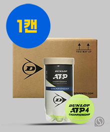 던롭 테니스공 ATP 챔피온쉽  1캔(2구) 2025 신상품