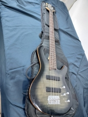 데임 폴앤폴 250 패시브 개조 베이스기타