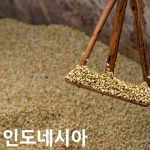 [생두]인도네시아 만델링 Indonesia Mandheling G1 1kg