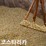 [생두]코스타리카따라주 CostaRica Tarrazu 1kg