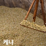 [생두]케냐 Kenya AA FAQ 1kg