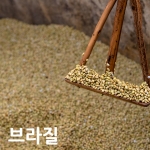 [생두]브라질 산토스 Brazil Santos NY2 Finecup 1kg
