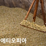 [생두]에티오피아예가체프 Ethiopia Yirgacheffe G2 1kg