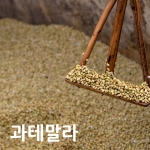 [생두]과테말라안티구아 Guatemala Antigua 1kg