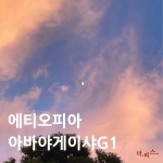 이씨네에티오피아예가체프아바야게이샤G1 500g