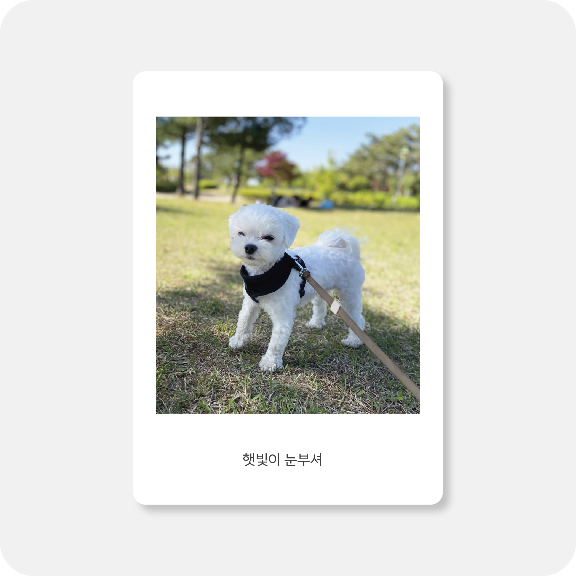폴라로이드 BASIC 미니액자 (세로형)