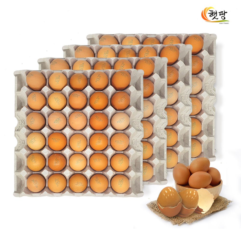 햇땅 구운계란 중란 30알 x 4판