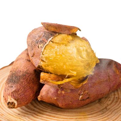 [햇땅] 국내산 세척 꿀 호박고구마 2kg 3kg 5kg 10kg