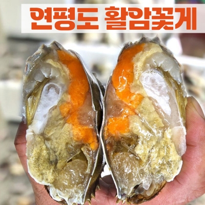 [햇땅] 연평도 활꽃게 알가득 암꽃게  1kg 2kg 5kg 택1