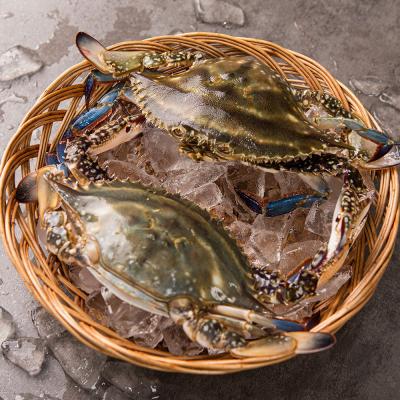 [햇땅] 연평도 제철 활꽃게 활숫꽃게  1kg 2kg 5kg