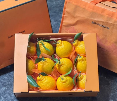 [햇땅] 제주 한라봉 프리미엄 선물세트 모음