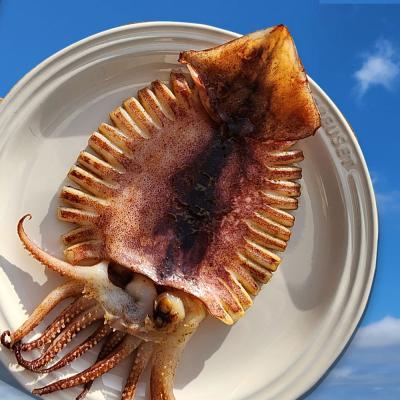 [햇땅] 원양산 국내가공 반건조오징어 피데기 골라담기 휴게소 노래방